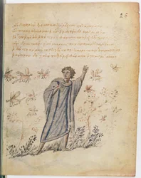 Ms Supp Grec 247 fol.3 Homme échappant aux abeilles, illustration de Theriaca de Nicandre de Colophon (fl.2e siècle av. J.-C.)